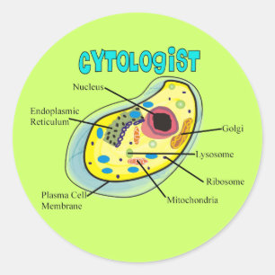 Sticker Rond Cadeaux de dessin de cellules humaines de cytologu