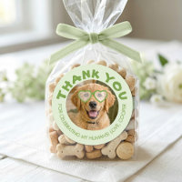 Cadeaux de mariage pour chien Photo de chien remer