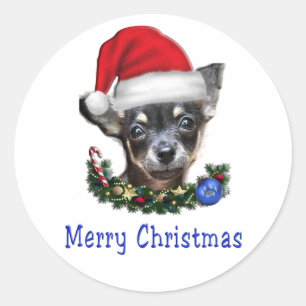 Sticker Rond Cadeaux de Noël Chihuahua
