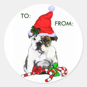 Sticker Rond Cadeaux de Noël de Bulldog anglais