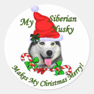 Sticker Rond Cadeaux de Noël Sibériens Husky