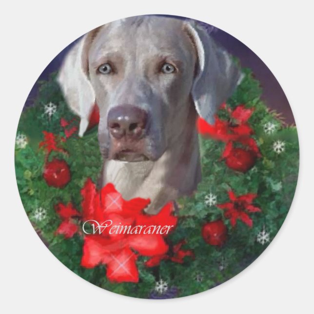 Sticker Rond Cadeaux de Noël Weimaraner (Devant)