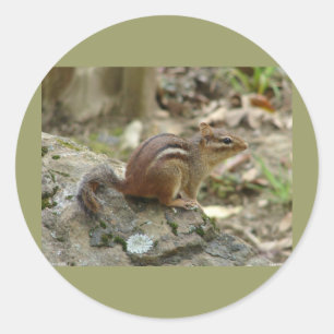 Sticker Rond Cadeaux du parc national des sources chaudes de Sw