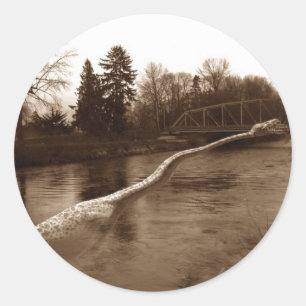 Sticker Rond Cadeaux Elasmosaurus