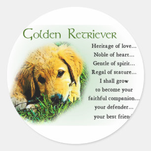 Sticker Rond Cadeaux Golden Retriever