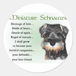 Sticker Rond Cadeaux Schnauzer miniatures