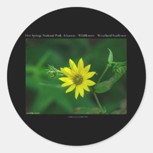 Sticker Rond Cadeaux tournesol boisé du parc national de Hot Sp
