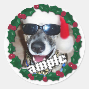 Sticker Rond Cadre de houx pour votre photo de Noël !