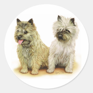 Sticker Rond Cairn Terrier