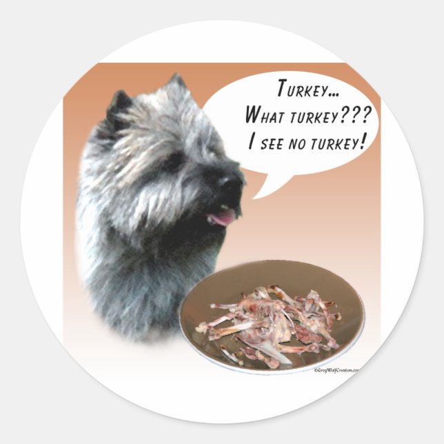 Sticker Rond Cairn Terrier Turquie (Devant)