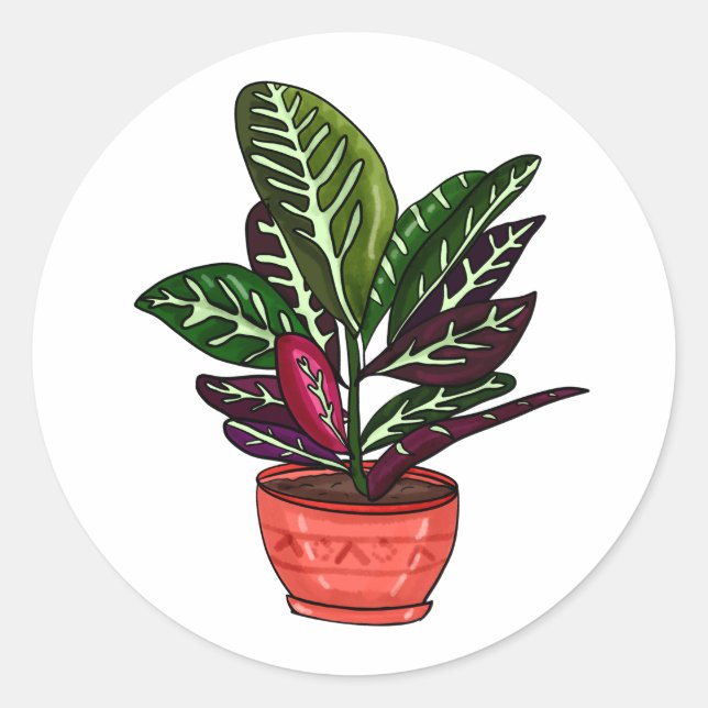 Sticker Rond Calathea Hand Drake Houseplant Art (Devant)