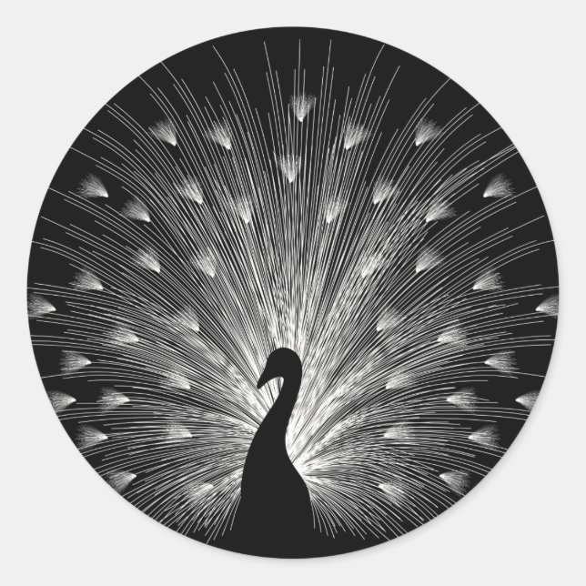 Sticker Rond Calcaire blanc (Devant)