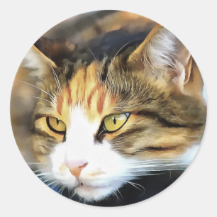 Sticker Rond Calico Jaune Chat réaliste Portrait pour animal