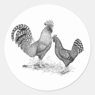Sticker Rond California Grey Rooster and Hen