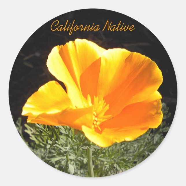 Sticker Rond California Native (Devant)