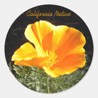 Sticker Rond California Native