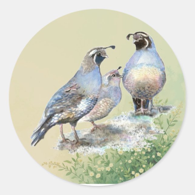 Sticker Rond California Quail Birds Watercolor Art  (Devant)