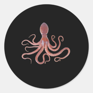 Sticker Rond Calmar Géant De L'Océan Pour Les Amoureux des anim