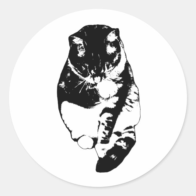 Sticker Rond Calme Reflet de Neige (Devant)