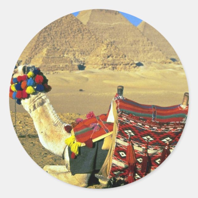 Sticker Rond Camel et pyramides, Le Caire, Egypte (Devant)