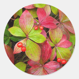 Sticker Rond Canada, Colombie-Britannique, Mont Robson