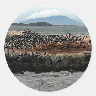 Sticker Rond Canal beagle