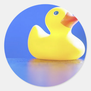 Sticker Rond Canard bleu