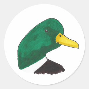 Sticker Rond Canard de Mallard