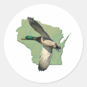 Sticker Rond Canard du Wisconsin