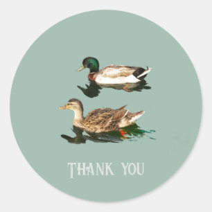 Sticker Rond Canards colverts