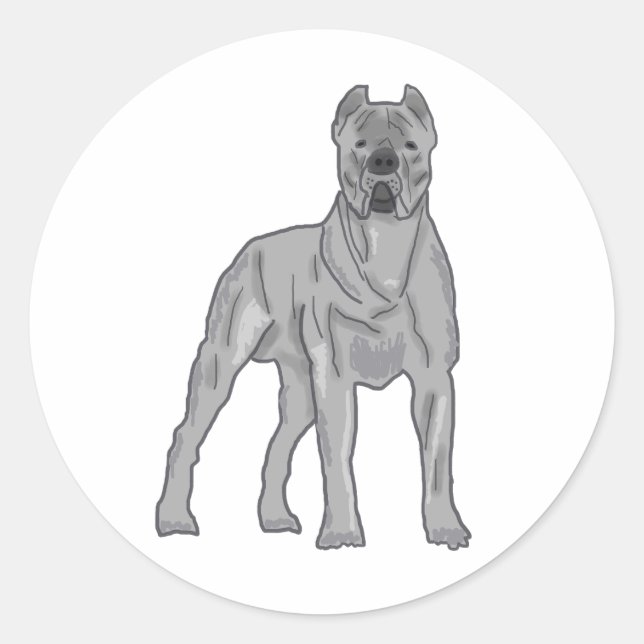 Sticker Rond Cane Corso (Devant)
