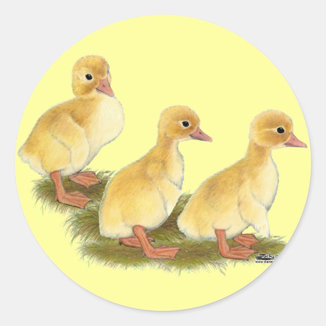 Sticker Rond Canettes jaunes (Devant)