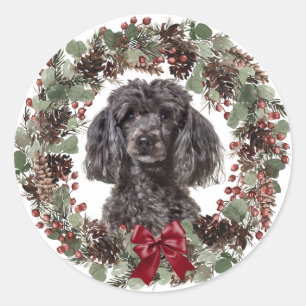 Sticker Rond Caniche Noir Pinecone Rouge Bow Wreath Noël