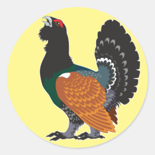 Sticker Rond capercaillie