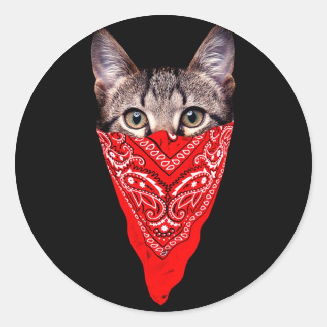 Sticker Rond Capuchon de chat (Devant)