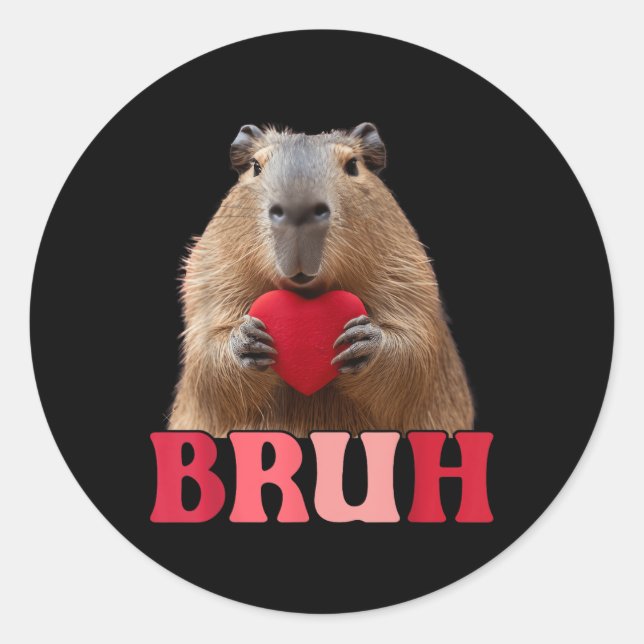 Sticker Rond Capybara Bruh Mème Drôle Dire Ados Garçons Valenti (Devant)