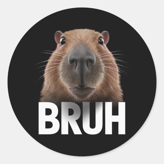 Sticker Rond Capybara Drôle Bruh  (Devant)