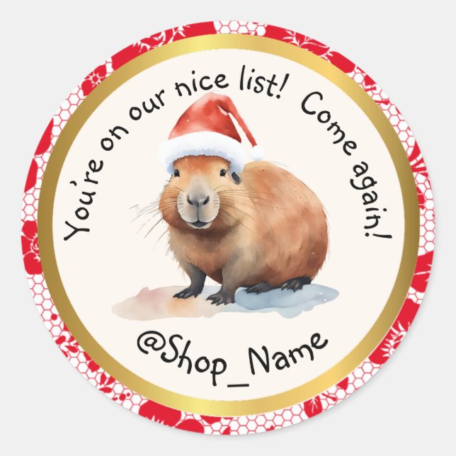 Sticker Rond CAPYBARA: Elevate Your Packaging Game! 🚀 (Devant)