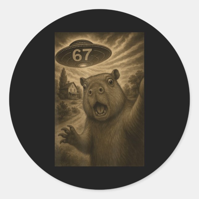 Sticker Rond Capybara Selfie 67 Mème Six Sept Drôle d'Ufo  (Devant)