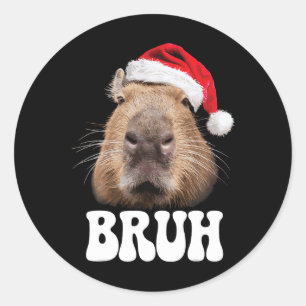 Sticker Rond Capyra Bruh Chapeau de Père Noël Drôle Saison de N