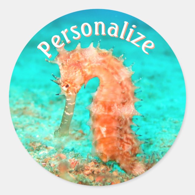 Sticker Rond Caraibe tropicale caraïbe turquoise orange (Devant)