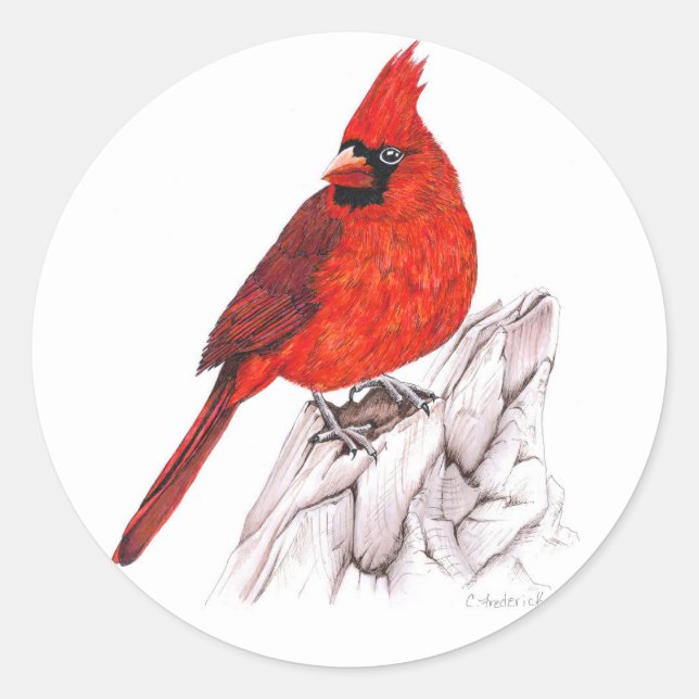 Sticker Rond Cardinal (Devant)