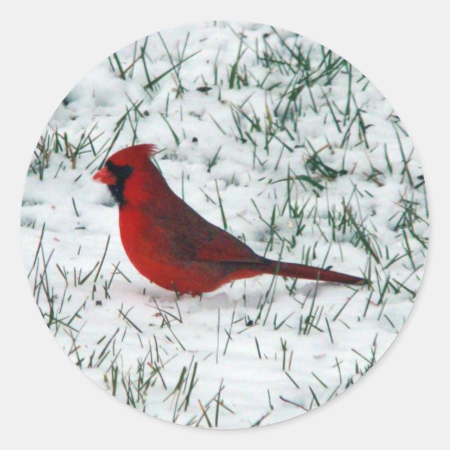 Sticker Rond Cardinal de la Saint-Valentin  (Devant)