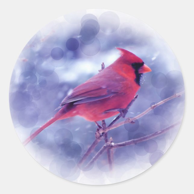 Sticker Rond Cardinal rouge au Blizzard (Devant)