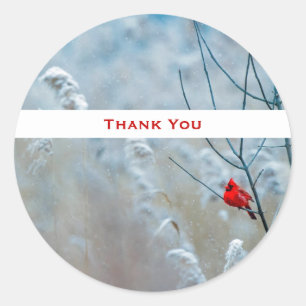 Sticker Rond Cardinal Rouge en hiver Nature Photo Merci