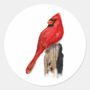 Sticker Rond Cardinal sur le courrier