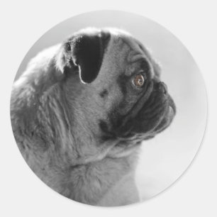 Sticker Rond Carlin dans le profil