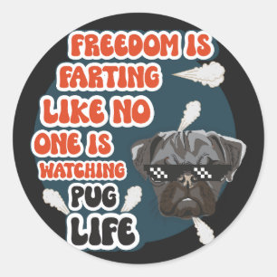 Sticker Rond Carlin life drôle citation chien sarcastique