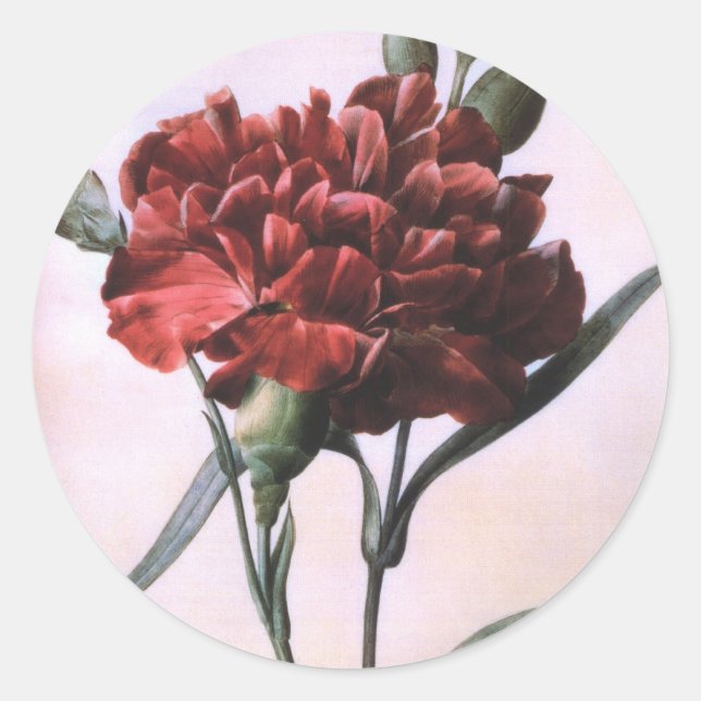 Sticker Rond Carnation rouge vintage (Devant)