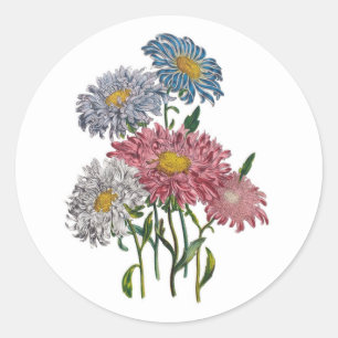 Sticker Rond Carnaval des fleurs